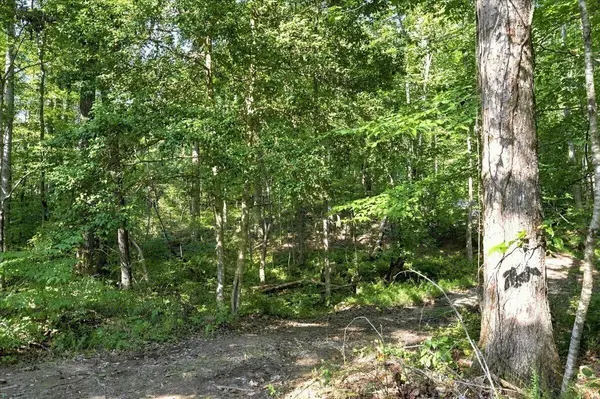 5201 Highway 150, Sequatchie, TN 37374