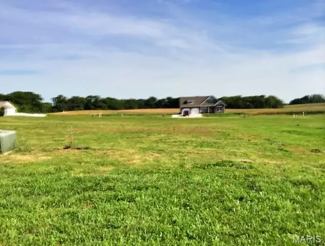 505 BLUFF MEADOWS DR, Valmeyer, IL 62295