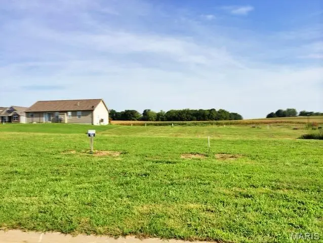 517 Bluff Meadows DR, Valmeyer, IL 62295