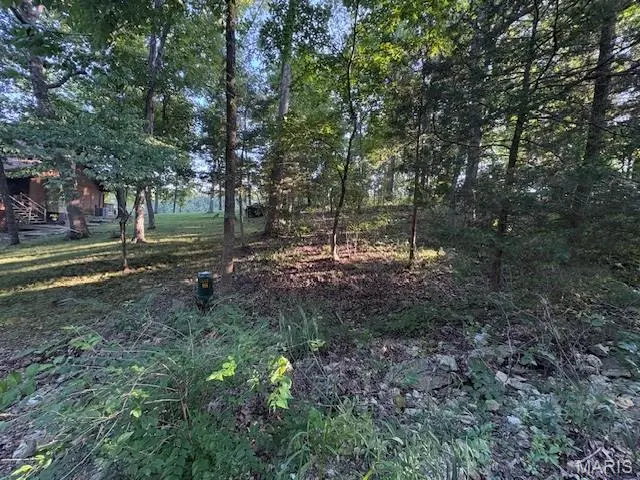 9613 Greenview CT, Hillsboro, MO 63050