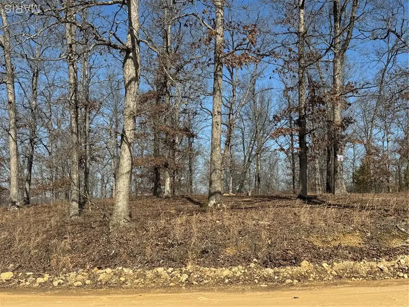 Lot EE&EE(S) Hidden Valley Lakes, Annapolis, MO 63620