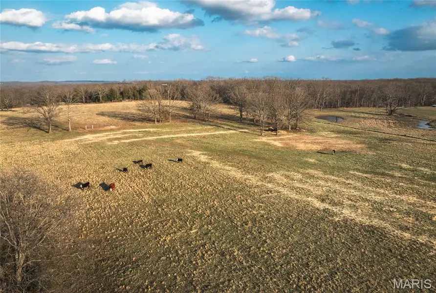 72 +/- acres County Road 8490, Newburg, MO 65550