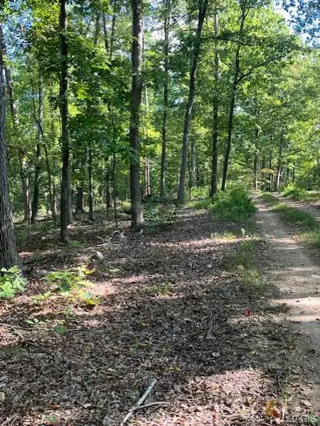 119A Madison CR 410, Fredericktown, MO 63645
