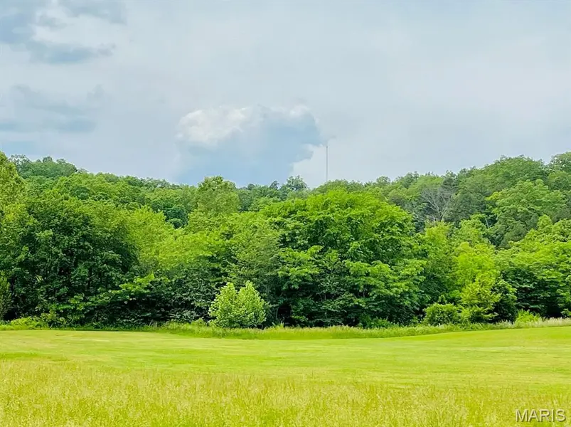 0 Deer Run Plat 12 Lot 18, Van Buren, MO 63965