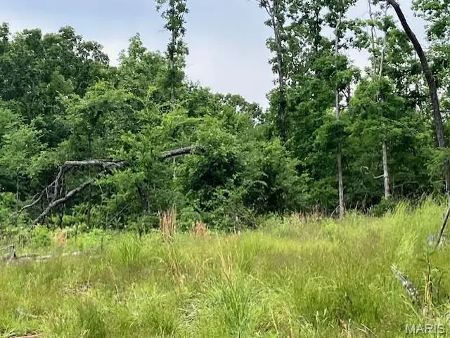 234 Madison CR 410, Fredericktown, MO 63645