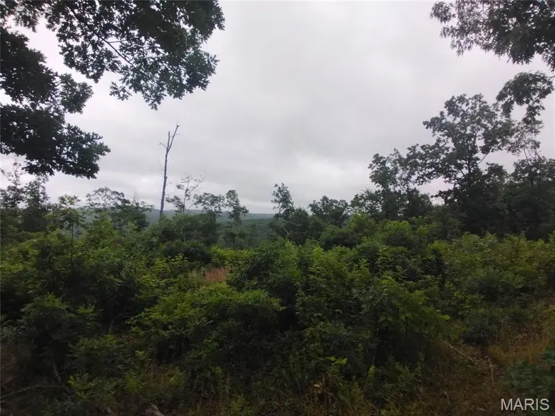 12 Tract 12, Belleview, MO 63623