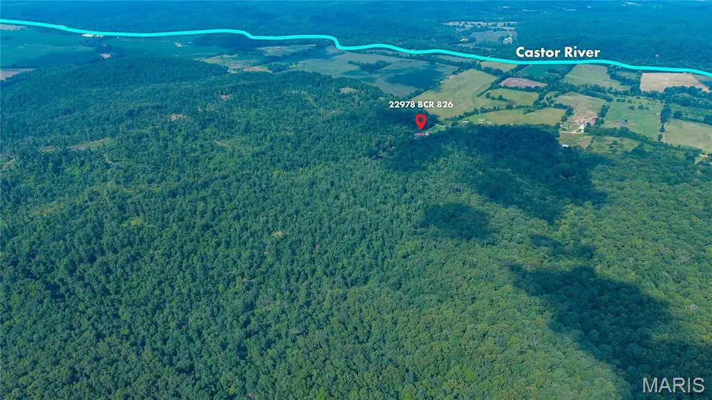22978 BCR 826, Glen Allen, MO 63751