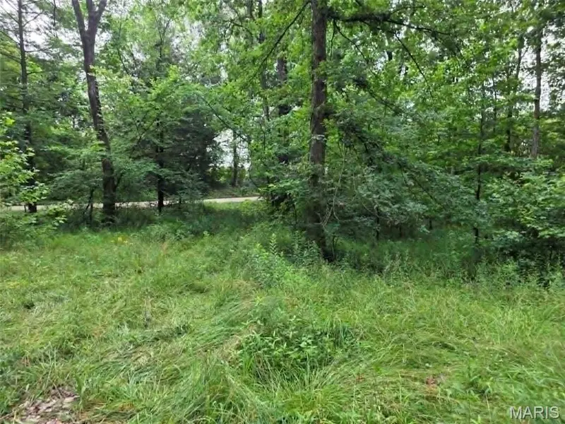 951 County Road 514, Wappapello, MO 63966