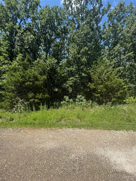 641 Briarwood DR, St Clair, MO 63077