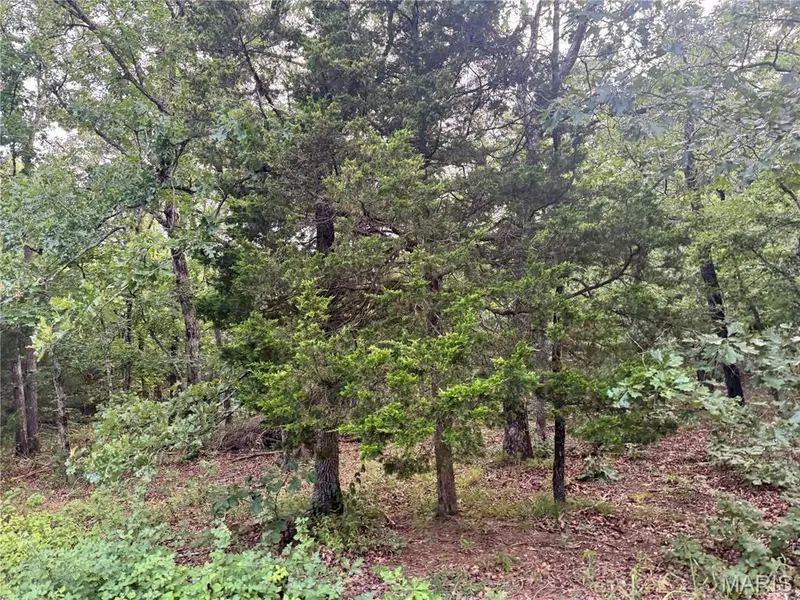 645 Pond Run RD, Gerald, MO 63037