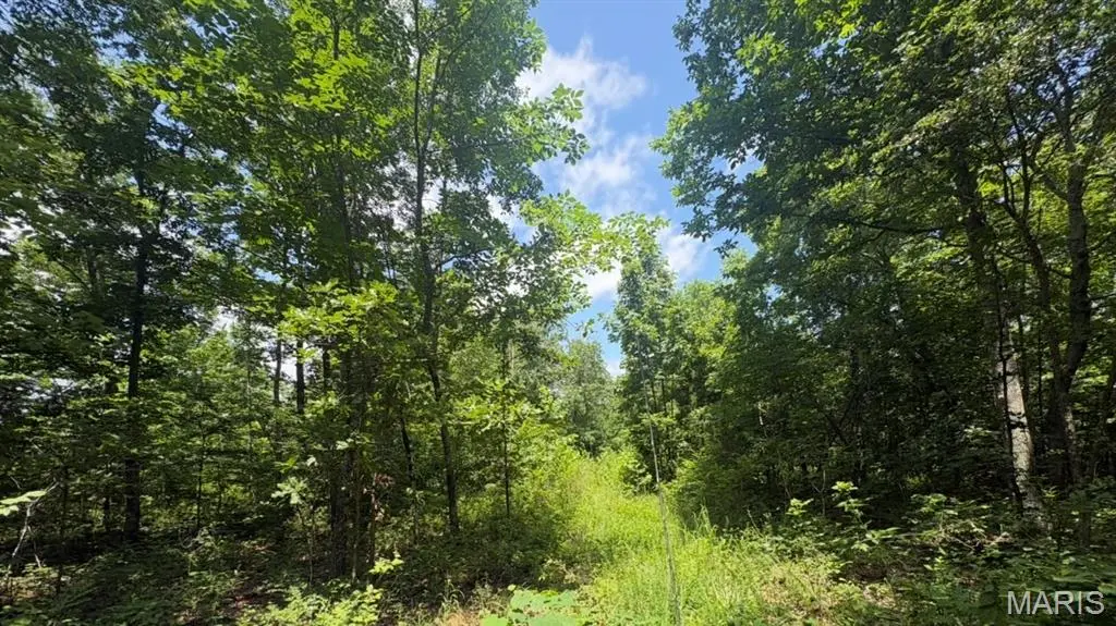 0 H Highway, Ellington, MO 63638