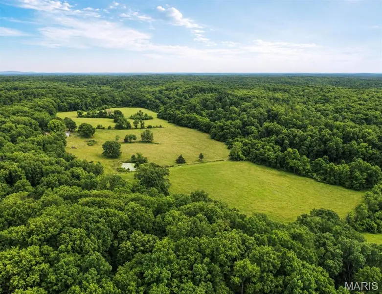 13016 Jinkerson RD, Potosi, MO 63664