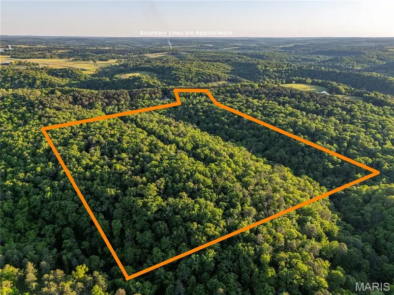 37+/- Forrest DR, Houston, MO 65483