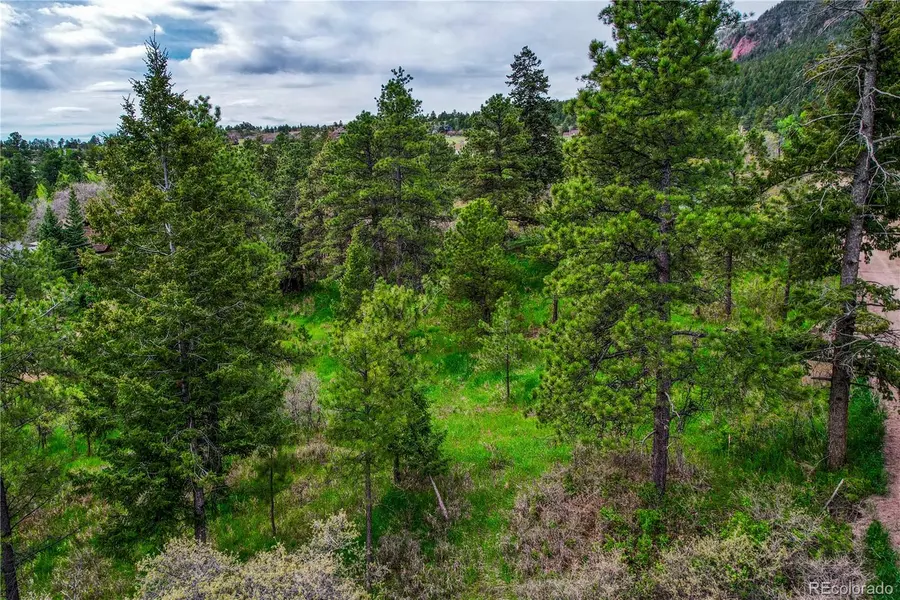 0 Buena Vista AVE, Palmer Lake, CO 80133
