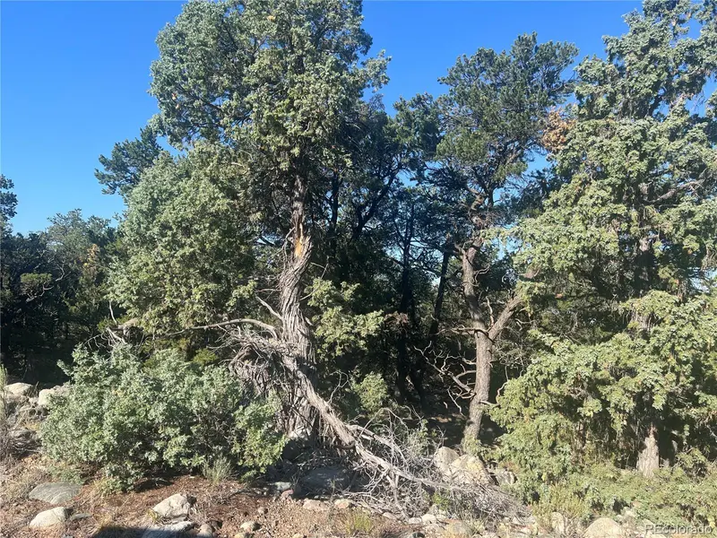 3587 3588 Alfresco WAY, Crestone, CO 81131