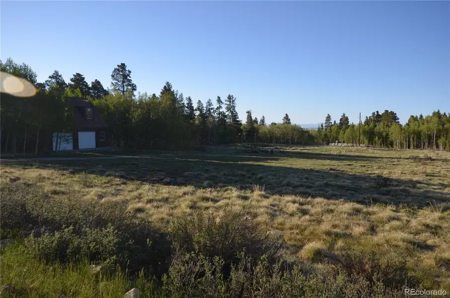 484 Wheat Way WAY, Fairplay, CO 80440