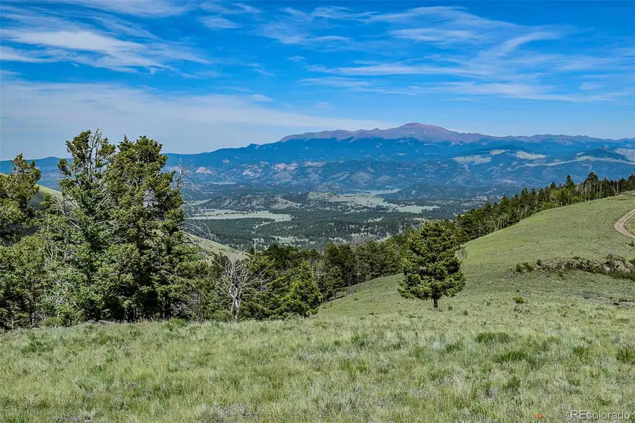 000 Bear Cat RD, Guffey, CO 80820