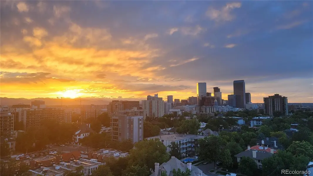 800 N Pearl ST #1109, Denver, CO 80203