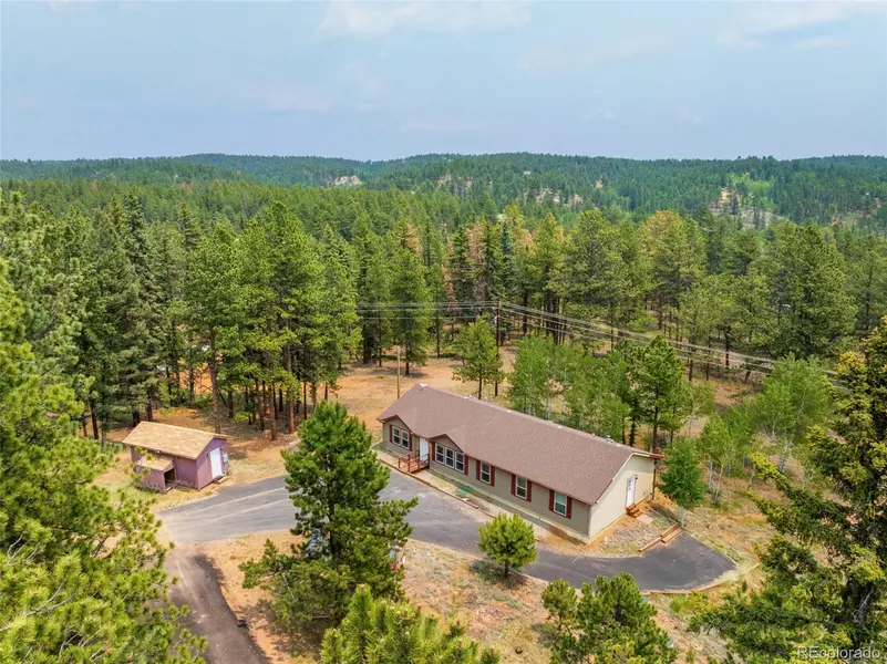 156 Fossil Creek RD, Florissant, CO 80816