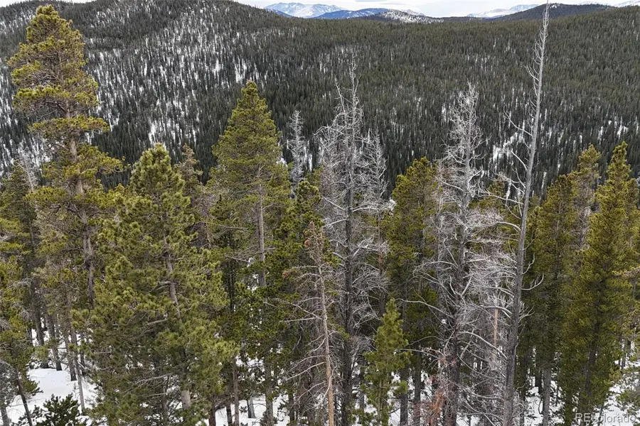 156 Vista RD, Idaho Springs, CO 80452