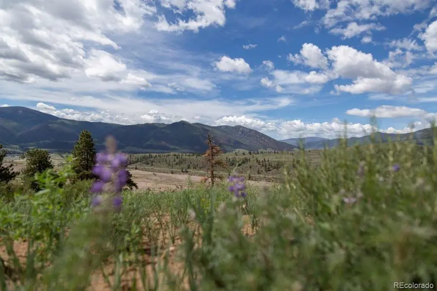 645 Cliff View DR, Creede, CO 81130