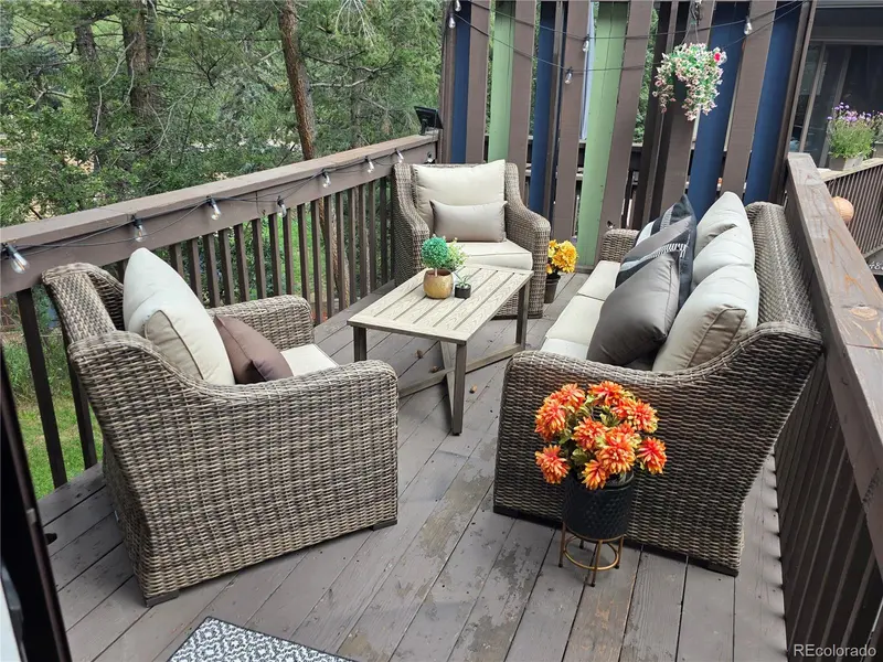 4897 Silver Spruce LN, Evergreen, CO 80439