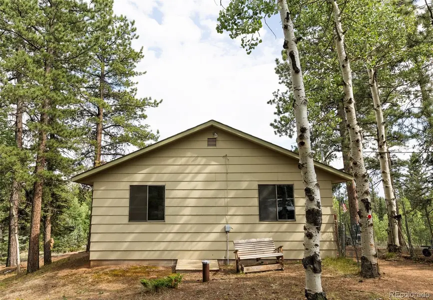 2644 Pathfinder RD, Florissant, CO 80816