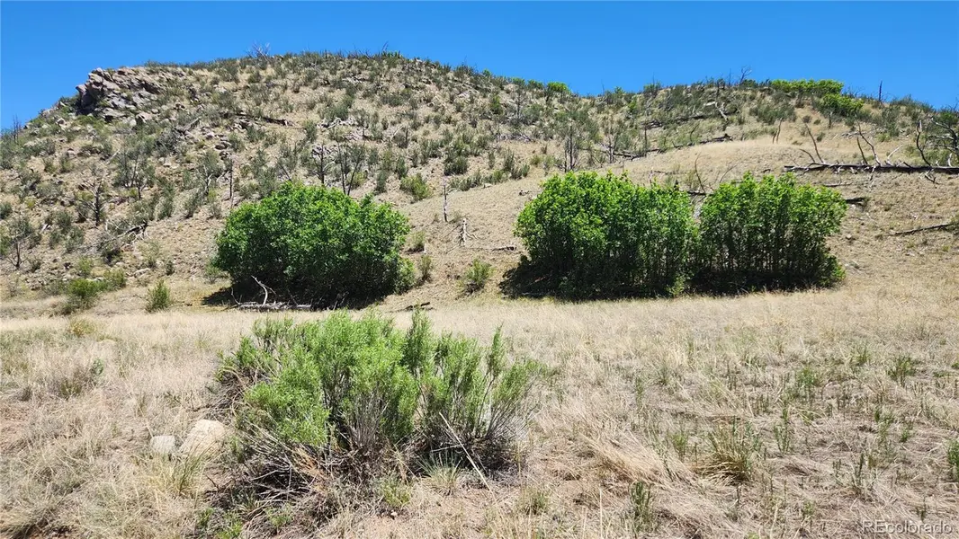 TBD L 35th TRL, Cotopaxi, CO 81223