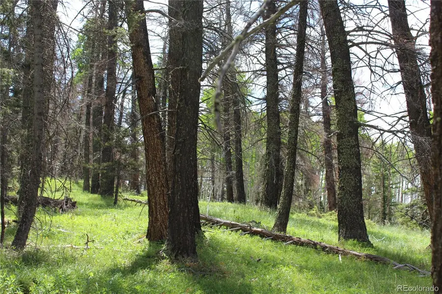 1650 Spruce RD, Cimarron, CO 81220