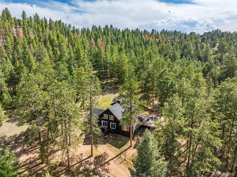 986 Apache RD, Florissant, CO 80816