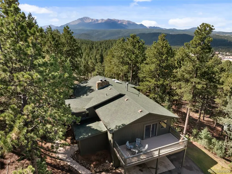 1150 Forest Hill PL, Woodland Park, CO 80863