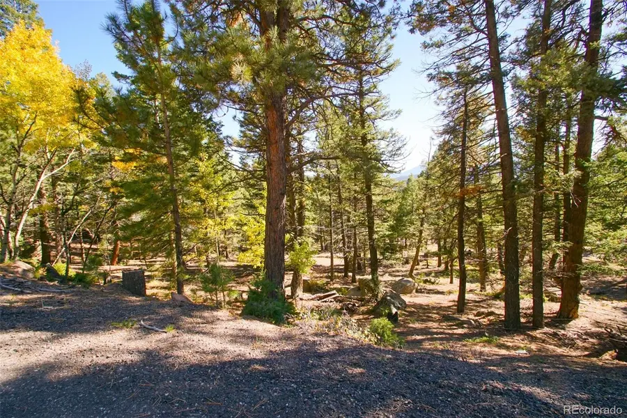 30402 Kings VLY, Conifer, CO 80433
