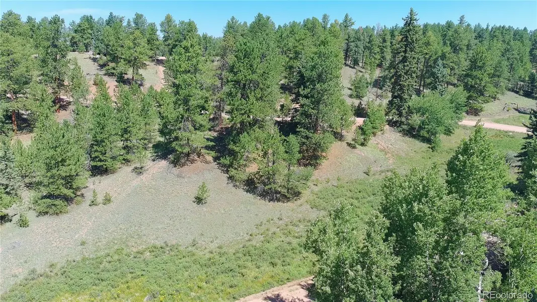 719 Spring Valley LN, Florissant, CO 80816