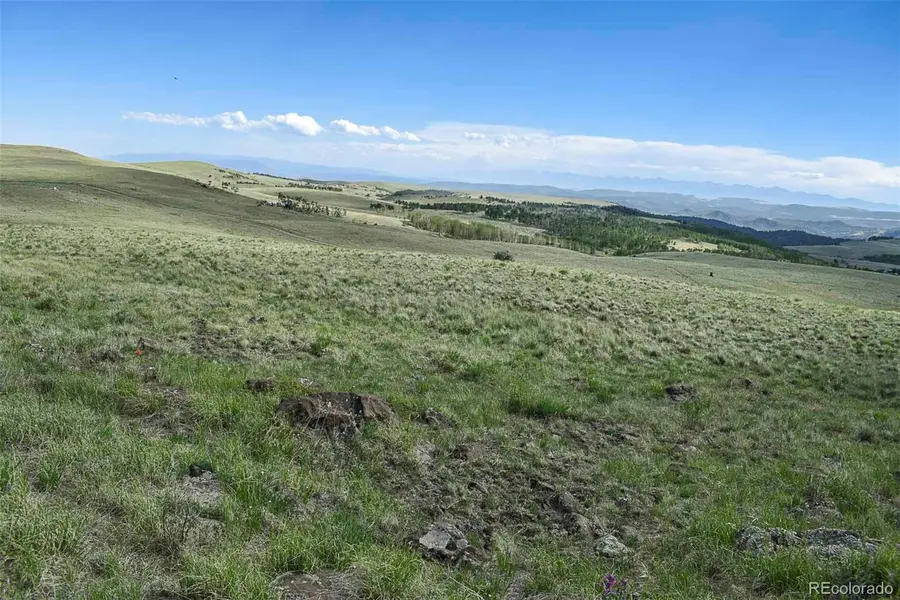 00 Bear Cat RD, Guffey, CO 80820