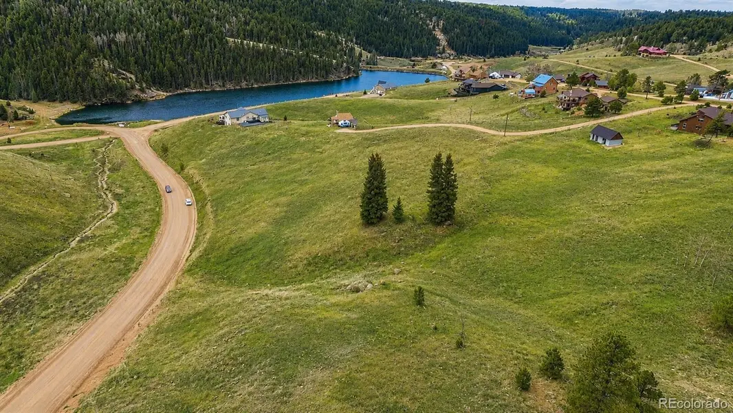 175 Twin Lakes DR, Divide, CO 80814