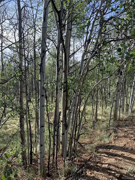 540 Vulture LN, Como, CO 80432