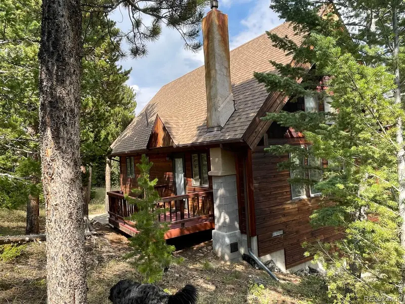 785 S Skinner RD, Allenspark, CO 80510