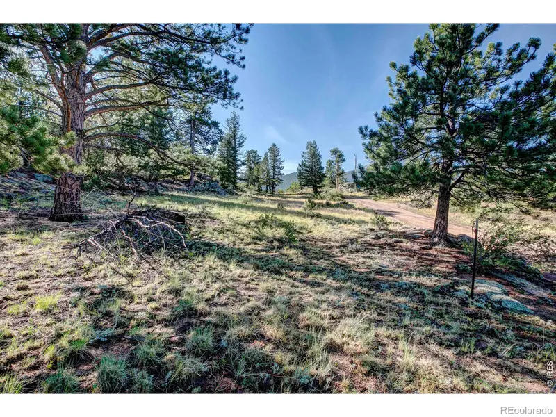 2710 Sunset LN, Estes Park, CO 80517