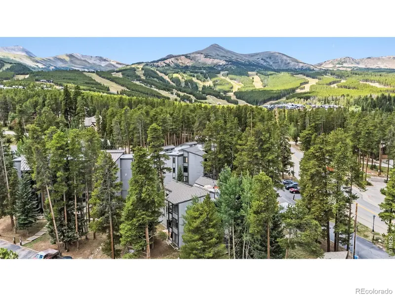 1155 Ski Hill RD #117, Breckenridge, CO 80424