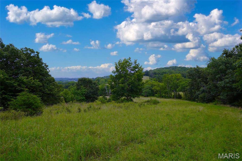28 Acres Hwy 100, Hermann, MO 65041