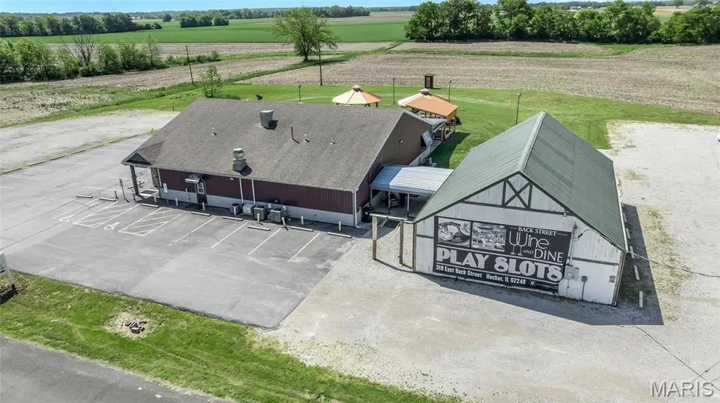 310 E Back ST, Hecker, IL 62248