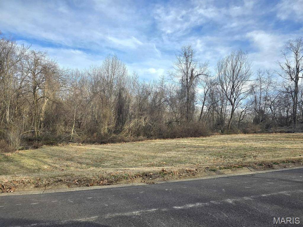 0 E Kenton RD, Dexter, MO 63841