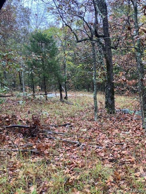 163 Madison CR 410, Fredericktown, MO 63645