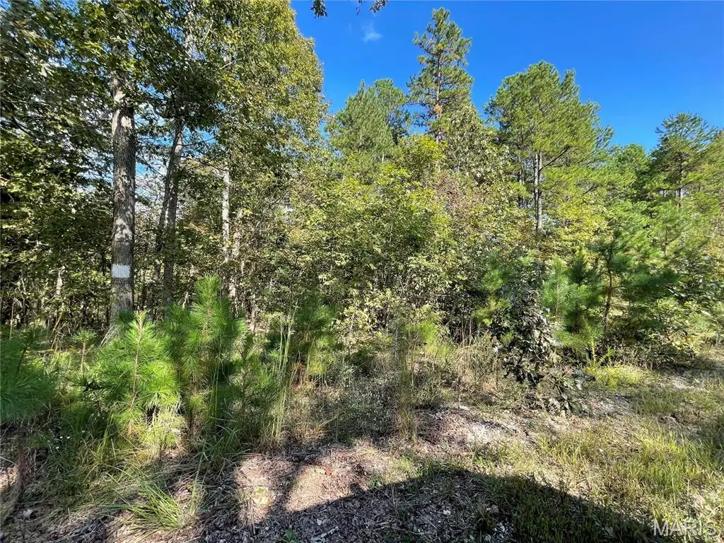 4 Woodland Heights W, Poplar Bluff, MO 63901