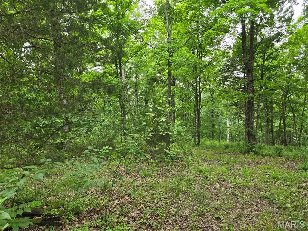 0 Mark Peterson DR, Wright City, MO 63390