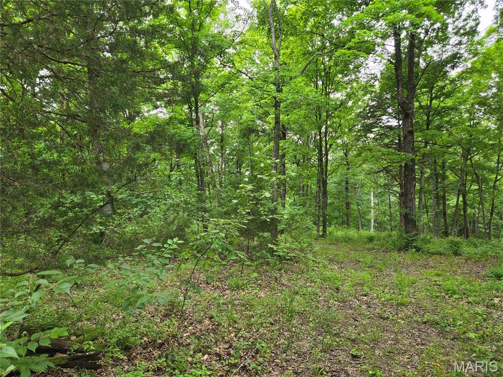 0 Mark Peterson DR, Wright City, MO 63390