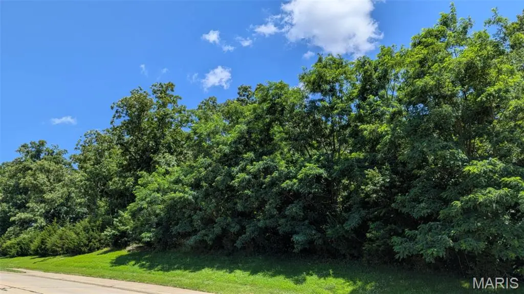 3.58 AC N Market ST, Warrenton, MO 63383