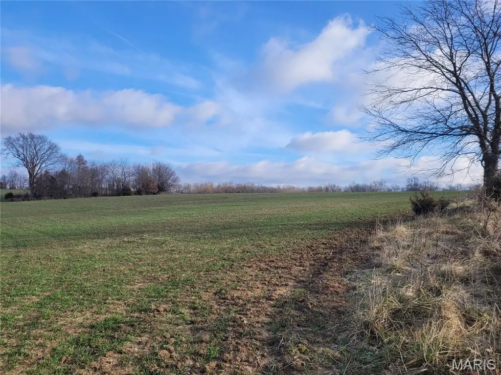 0 Bales Rd. (26.5+/- Acres), Middletown, MO 63359