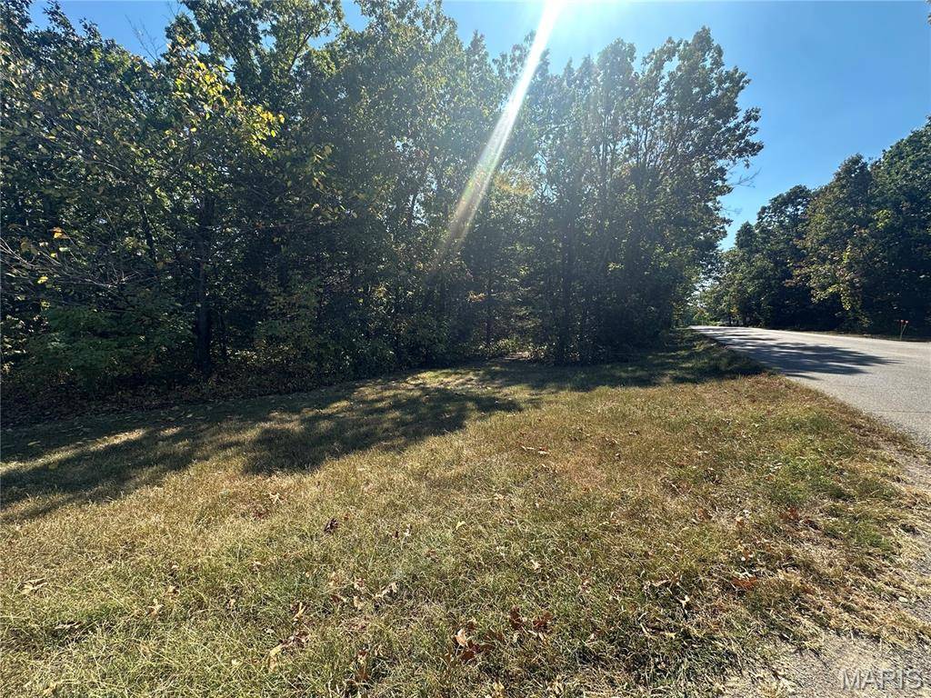 0 N St. Francois Rd, Bonne Terre, MO 63628