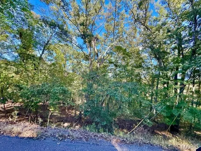 2018 Heather DR, Lake Sherwood, MO 63357